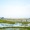 a marsh with fishermen