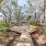 Historic Live Oak Park walkway 