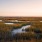 Wide open marsh in the beautiful sunset